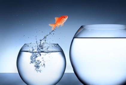 Jumping Out of the Fish Bowl: 3 Key Benefits to Taking a Journey